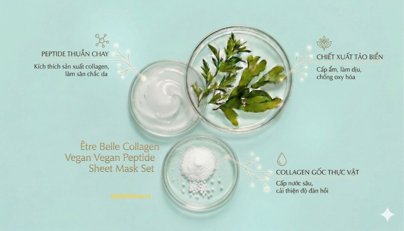 nho_
312-1775053135.jpg