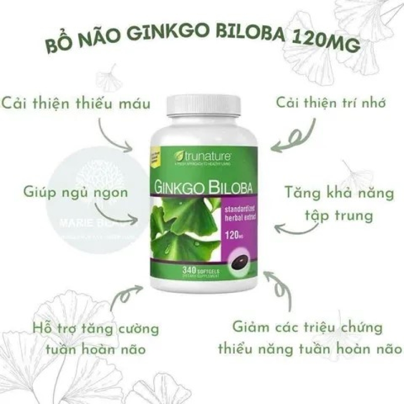 Viên Uống Ginkgo Biloba 120mg: Tăng Cường Trí Nhớ, Hỗ Trợ Tuần Hoàn Não Hiệu Quả