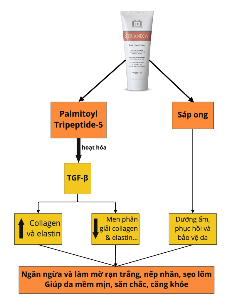 nho_
co-che-strianix-w-1-1755824901.png