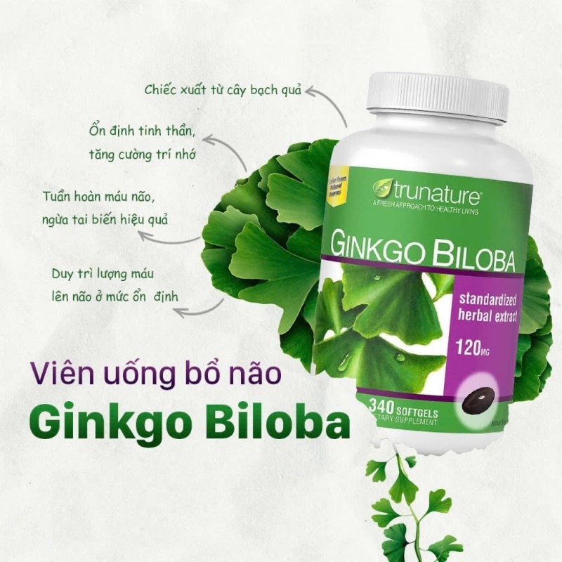 Viên Uống Ginkgo Biloba 120mg: Tăng Cường Trí Nhớ, Hỗ Trợ Tuần Hoàn Não Hiệu Quả